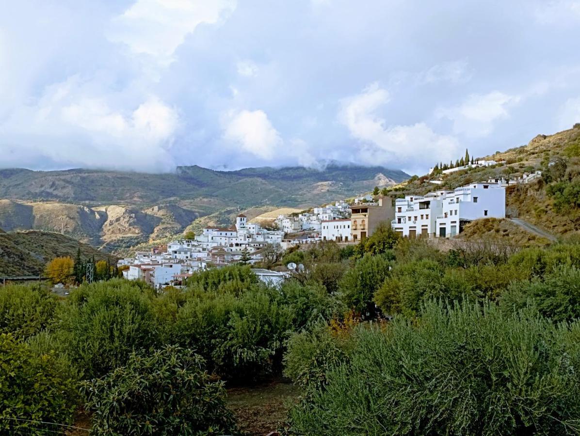 Appartamento El Almendro De Maruja Torviscón Esterno foto
